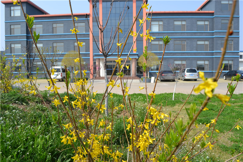 春暖花開，宇通管業(yè)園區(qū)內花兒爭相開放！
